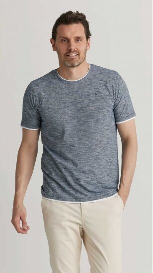 Men's gray short-sleeved T-shirt ERLA OF SWEDEN