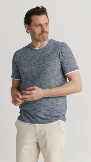 Men's gray short-sleeved T-shirt ERLA OF SWEDEN