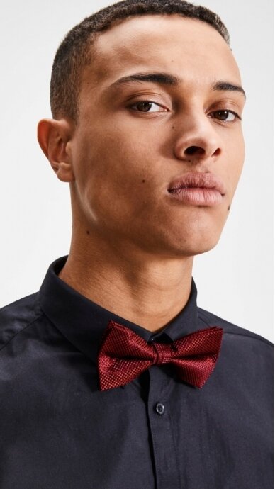 Men's bow tie JACK & JONES 12125734