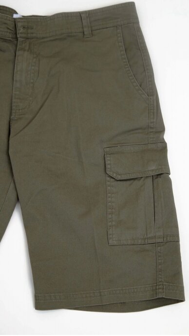 Green men's shorts ERLA OF SWEDEN