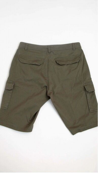 Green men's shorts ERLA OF SWEDEN 2